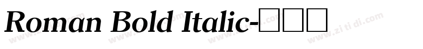 Roman Bold Italic字体转换